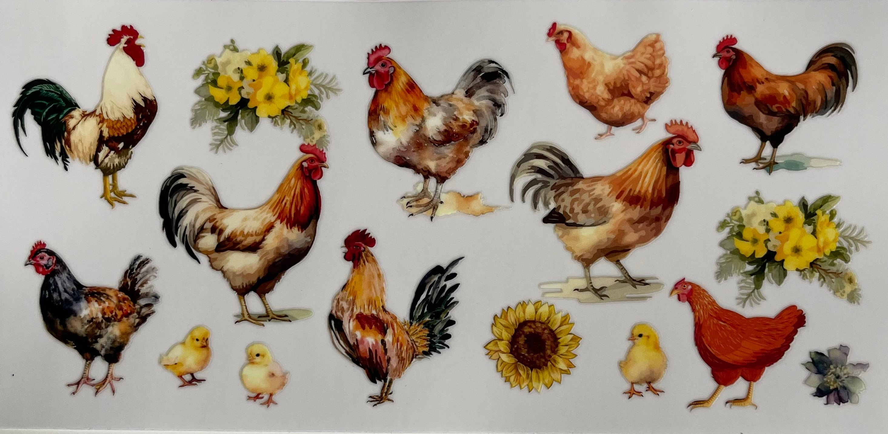 Chickens with Sunflower
