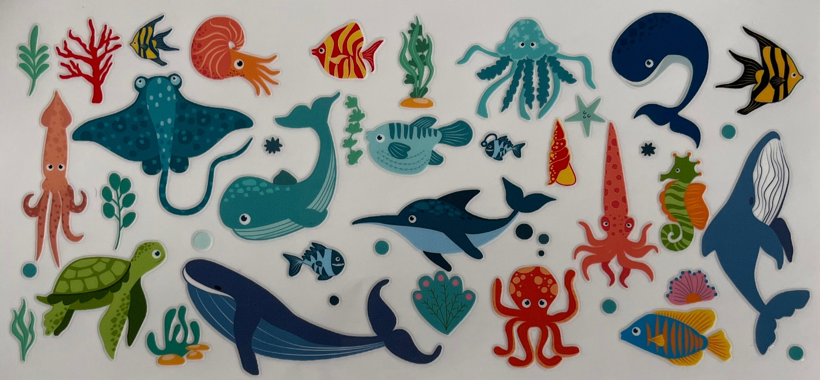 Cute Underwater Animals